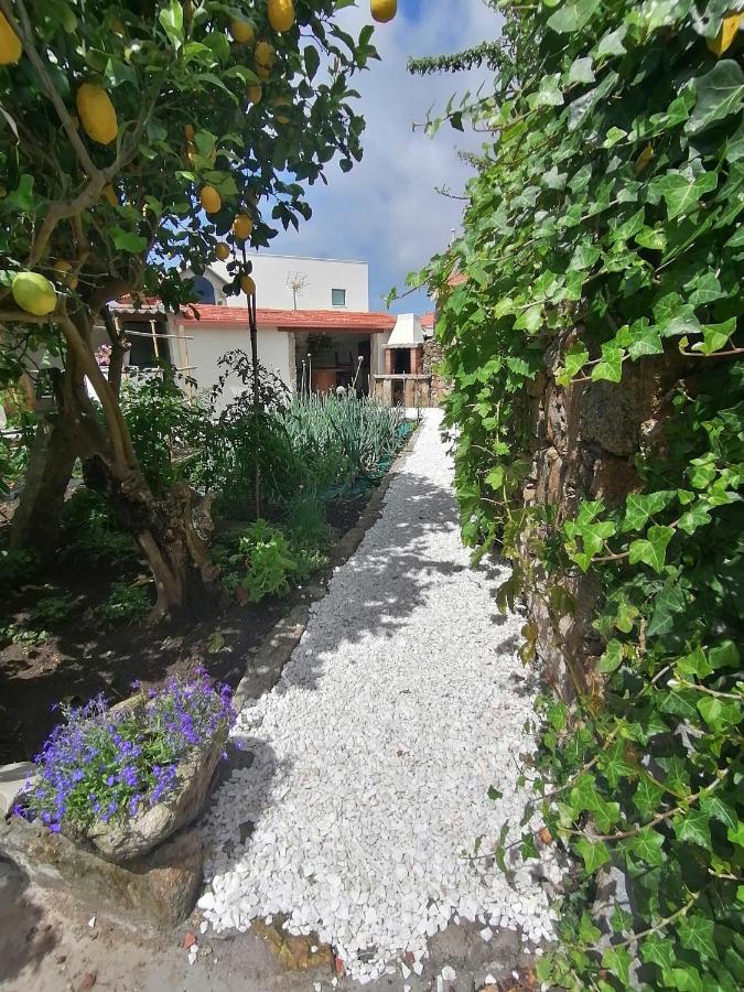 坎加斯德穆拉索A Casa Dos Retales别墅 外观 照片